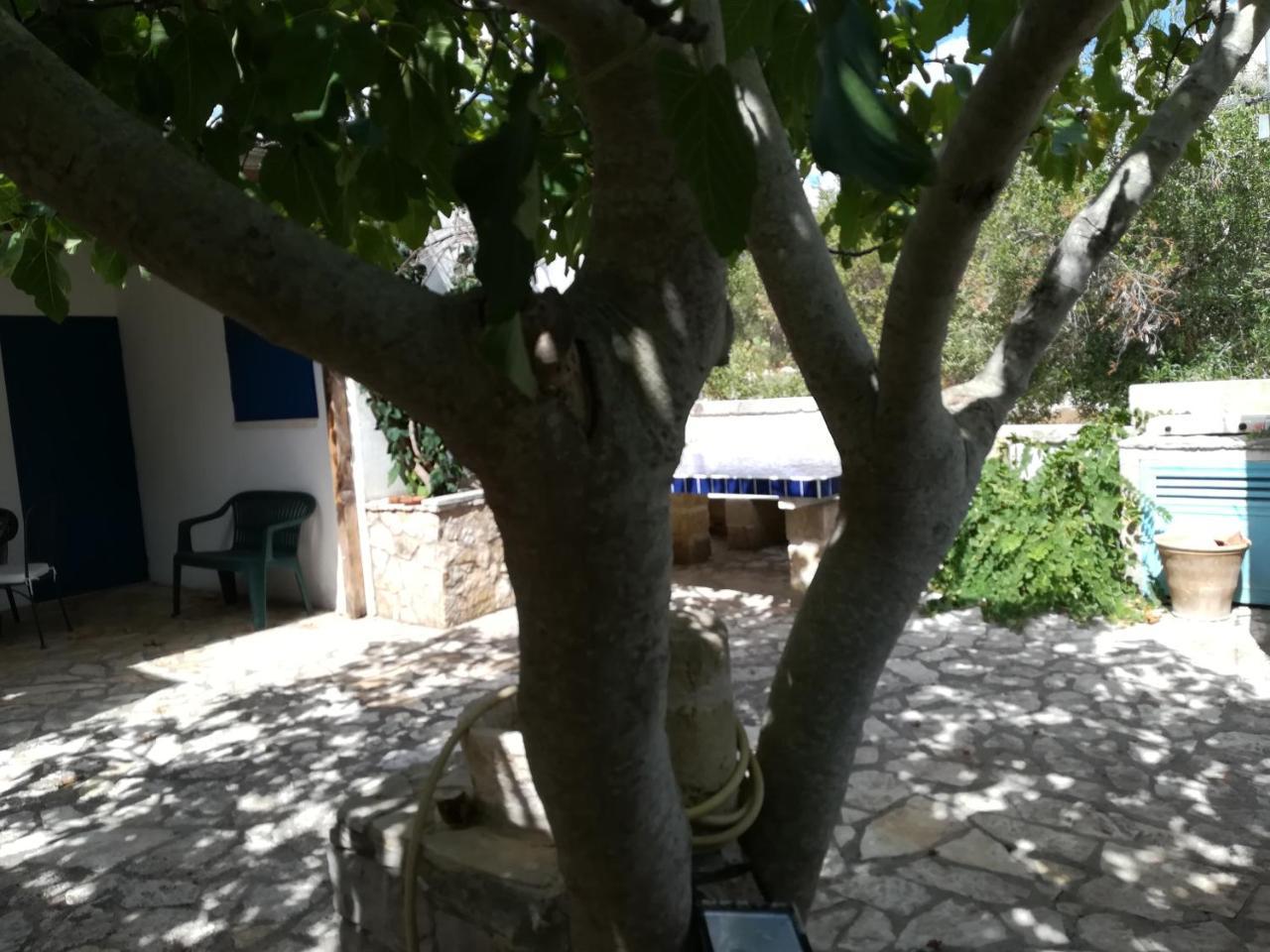 Vila Azzurrosalento Marina Serra Exteriér fotografie
